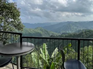21 Kilometers coffee