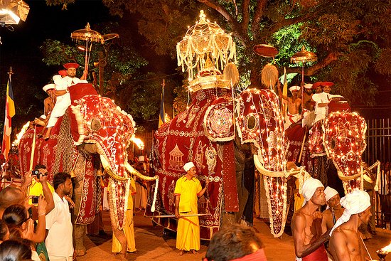 Kandy esala perahera Festival | Kandy