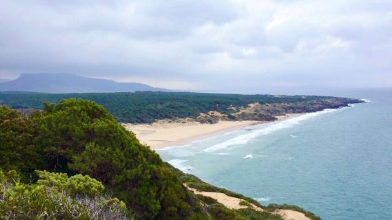 Parque Natural del Estrecho