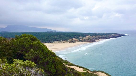 Parque Natural del Estrecho