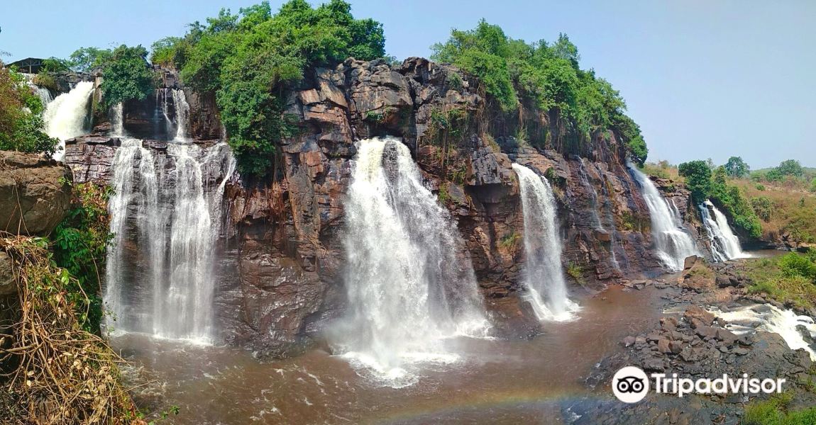 Bengaluru to Bangui Flights