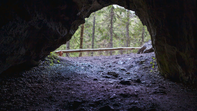 Maquoketa Caves State Park
