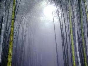 Xuanhanxian Echeng Zhuhai Park
