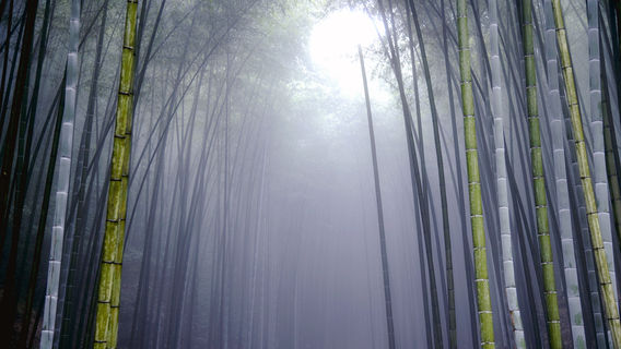 Xuanhanxian Echeng Zhuhai Park