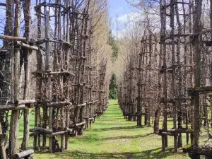 Villa Strobele - Arte Sella
