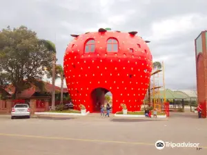Municipal park De Bom Principio