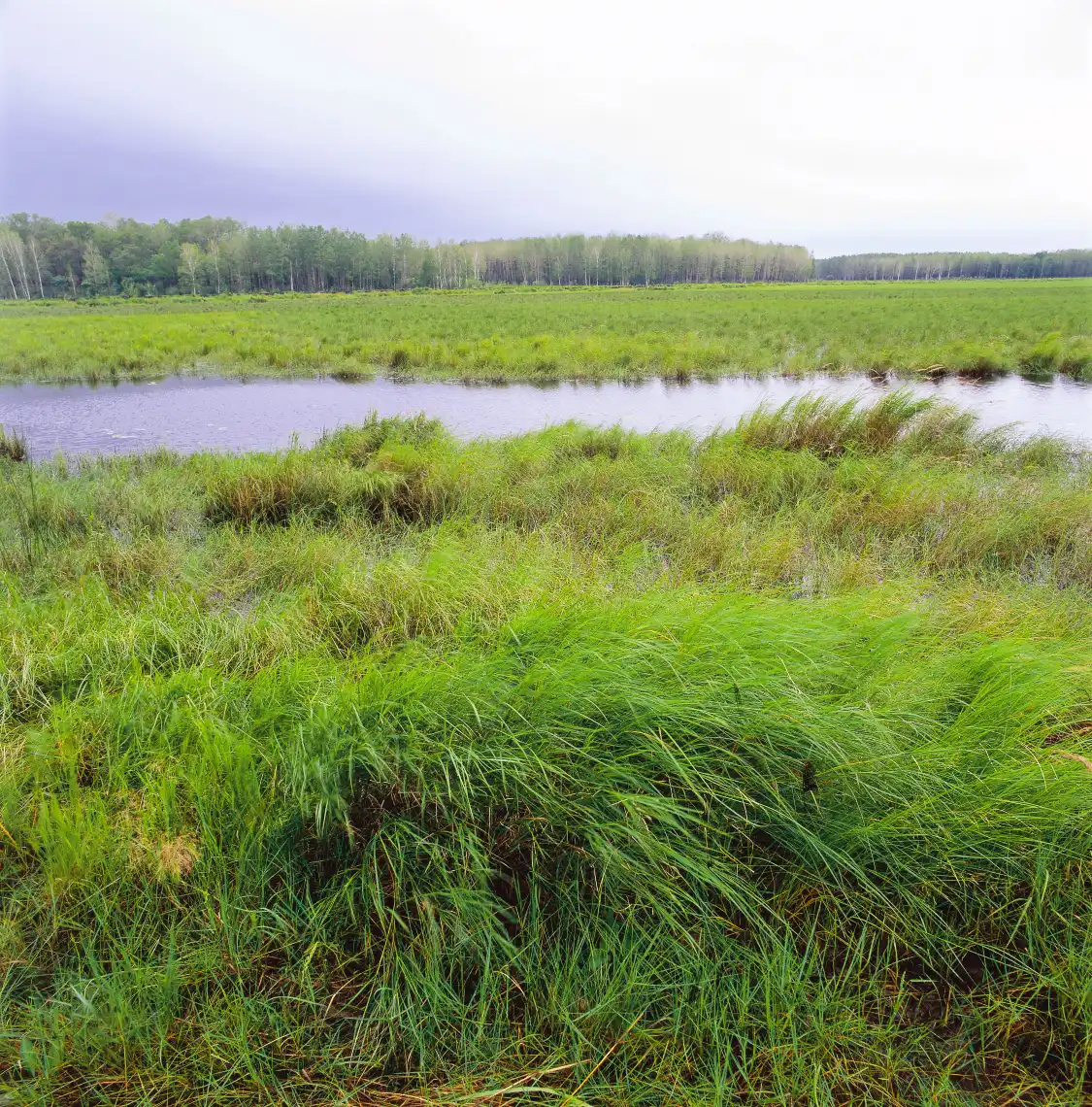 Hotels near Sanjiang Natural Wetland Reserve