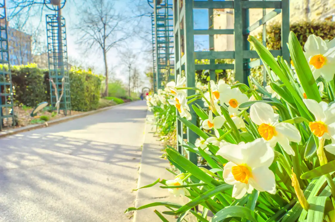 Hotels near Coulee Verte Rene-Dumont