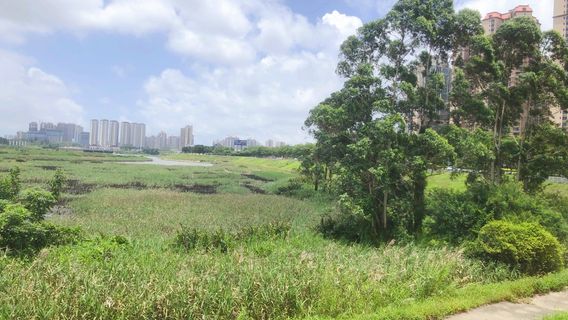 Fangchenggang Wetland Park