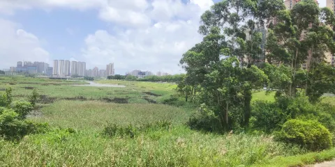 防城港濕地公園