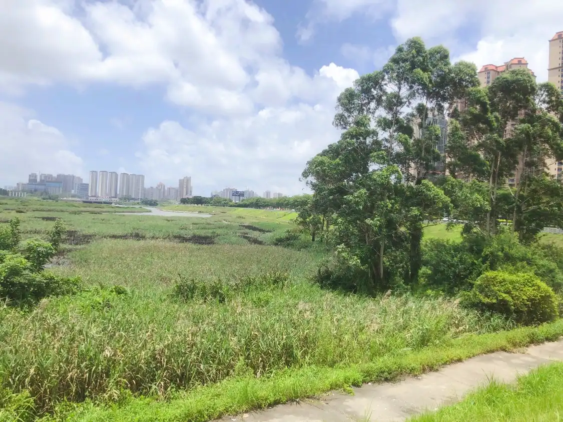 Hotels near Fangchenggang Wetland Park