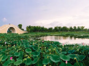 Changzhi National Urban Wetland Park