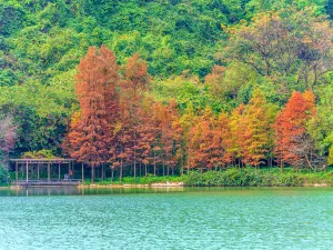 Longtan Park