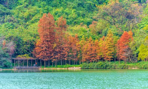 Longtan Park