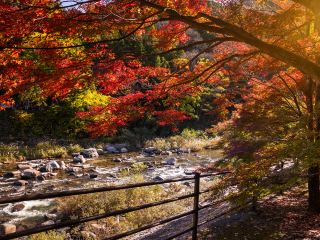 サンクト・ペテルブルグから名古屋の飛行時間