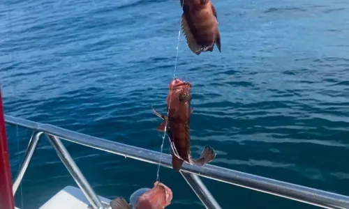 Sea Angling in Wenchang