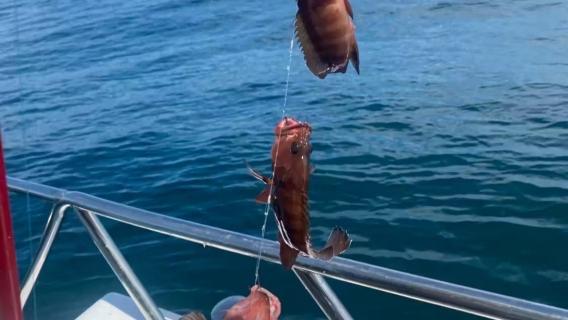 Sea-fishing in Wenchang