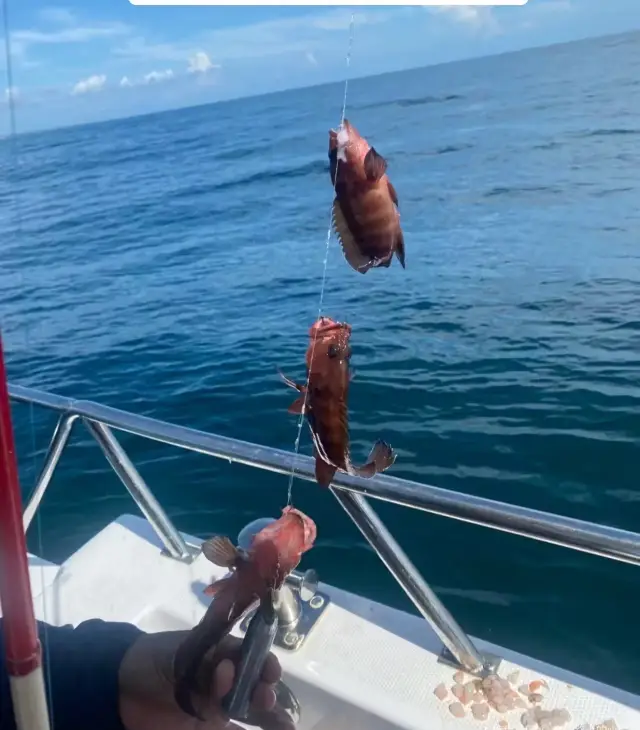Sea Angling in Wenchang