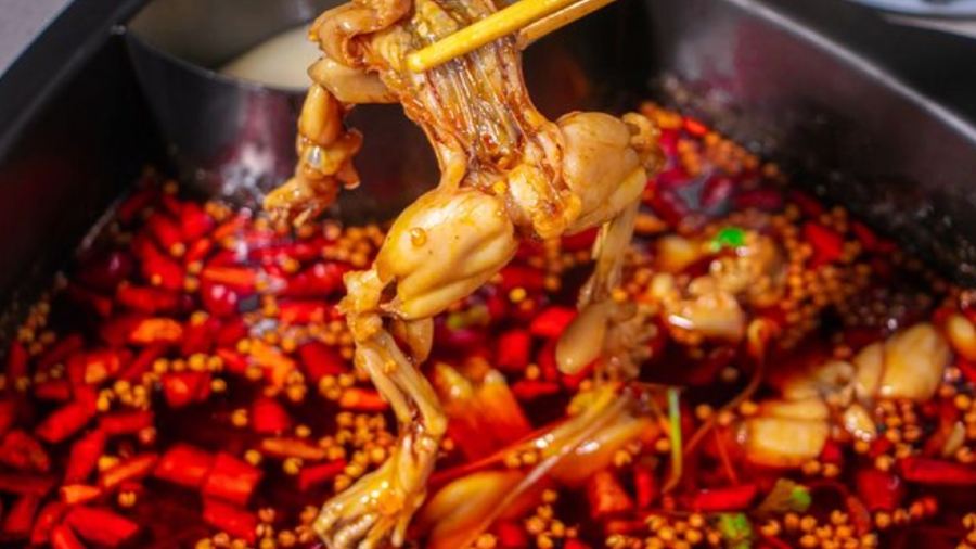味之绝美蛙鱼头火锅(泸州店)