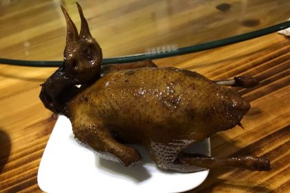 Lumen Farm Family Resort