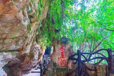 Water Curtain Cave