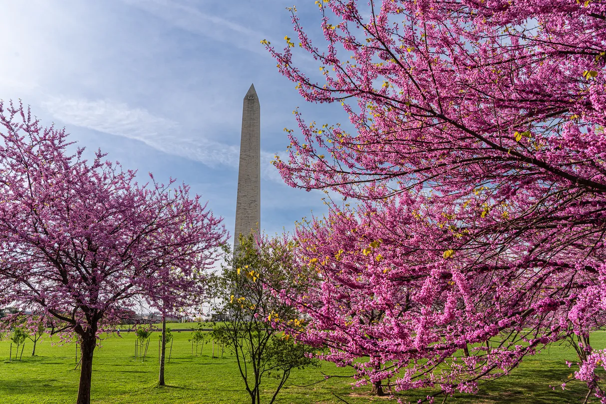 5_National Mall
