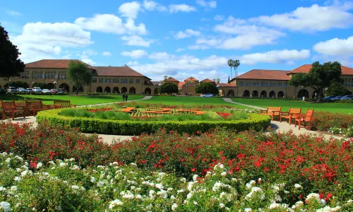 Stanford University