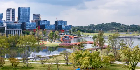 興隆湖濕地公園
