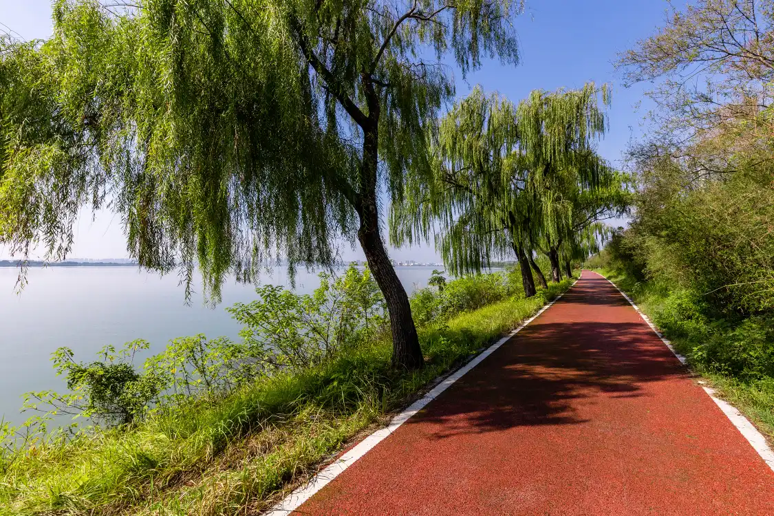 Hotels near Liuye Lake Tourist Resort
