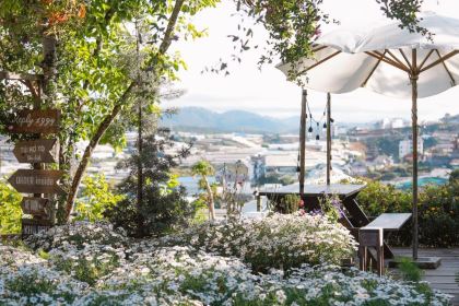 Tiệm Cà Phê Túi Mơ To