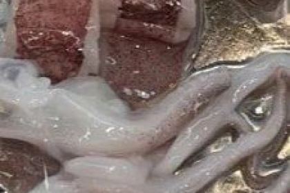 朱富贵火锅(宝信店)