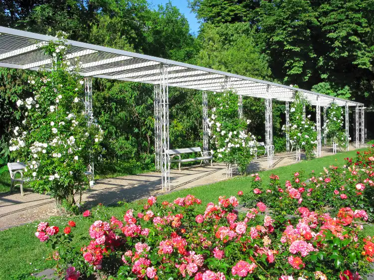 Hotels near Rose Garden