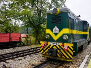 The Šargan Eight