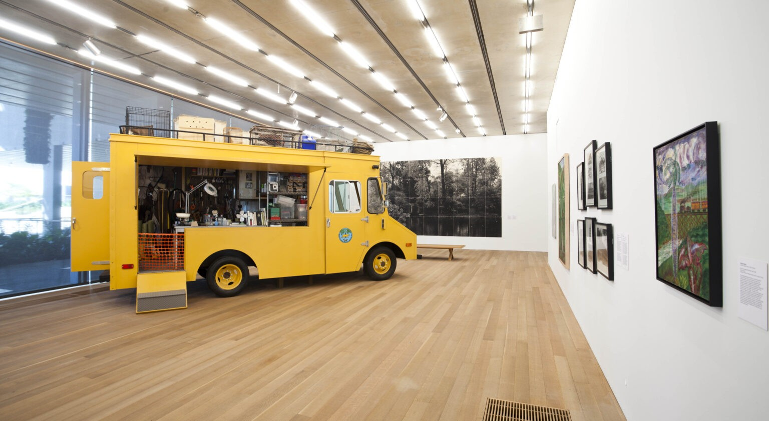 Mark Dion: The South Florida Wildlife Rescue Unit | Pérez Art Museum Miami