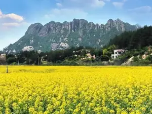平江の人気春旅におすすめ