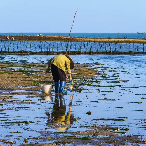 Popular Activities in Zhanjiang