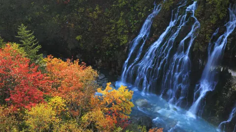 Shirahige Waterfall attraction in Biei