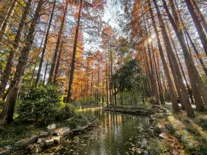 Shanghai Botanical Garden