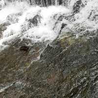 Curug Putri (Ciremai National Park)