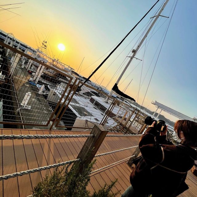 【葉山】葉山マリーナで夕日を眺める