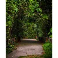 Thomson Nature Park: An interesting walk