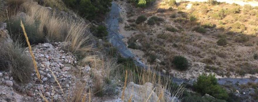 Barranco de la Cofradía