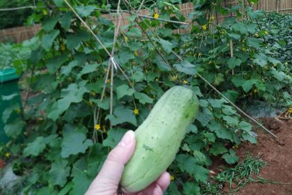 东山人家(长兴店)