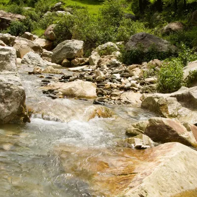 Разрешено размещения с домашними животными Отели в г. Чунчжоу