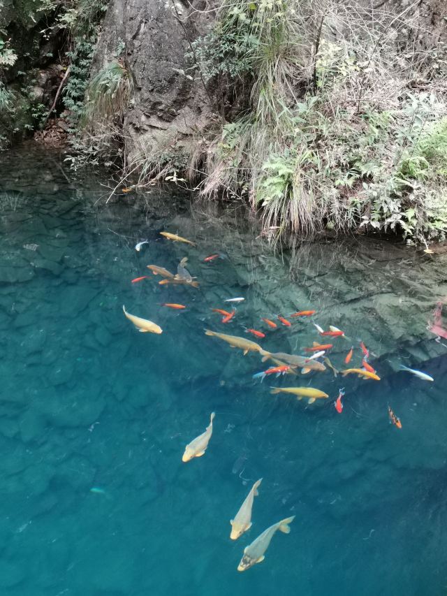 Daqishan National Forest Park
