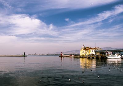 Aegean Coast