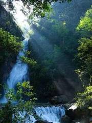 Shennong Valley National Forest Park