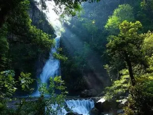 Shen Nong Gu National Forest Park