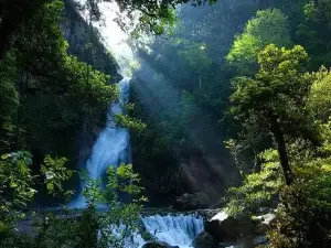 炎陵県神農谷国家森林公園（西南門）