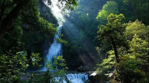 Shennong Valley National Forest Park